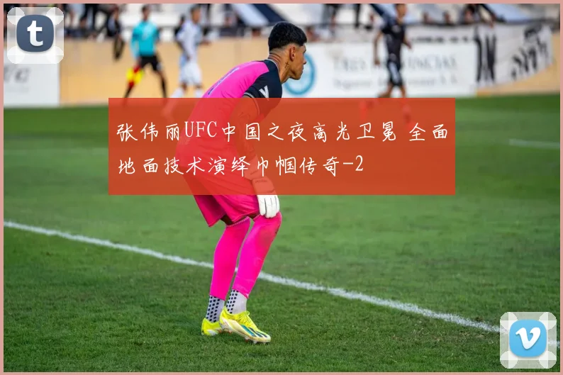 张伟丽UFC中国之夜高光卫冕 全面地面技术演绎巾帼传奇