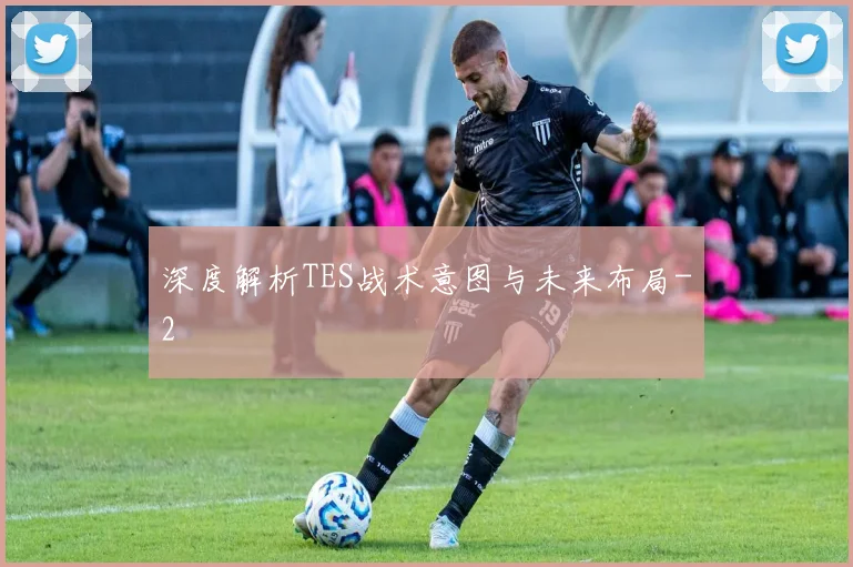深度解析TES战术意图与未来布局